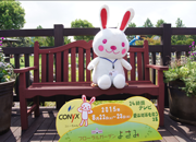 コニー