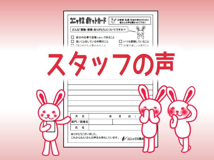 ポケットカード　2025年5月